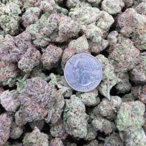 Purple Push Pop