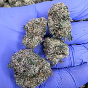 Kandy Kush