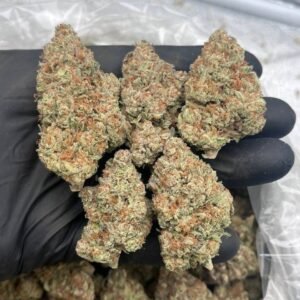 Guava Gelato