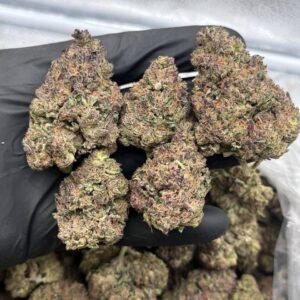 Peanut Butter Breath