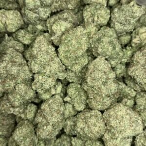 Papaya