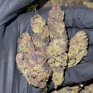 Grape Gushers