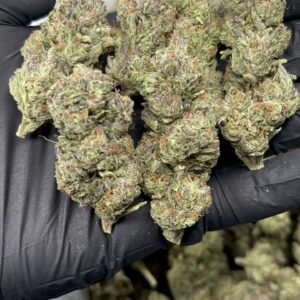 Rainbow Sherbet